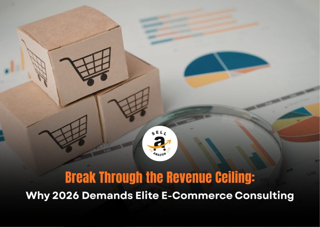 Read more about the article Break Through the Revenue Ceiling: Why 2026 Demands Elite E-Commerce Consulting